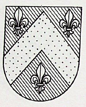 Cospedal Coat of Arms / Family Crest 0