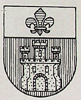 Cotelo Coat of Arms / Family Crest 0