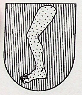 Esteva Coat of Arms / Family Crest 0