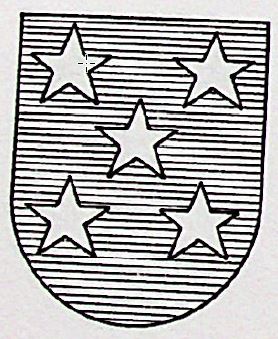 Estruch Coat of Arms / Family Crest 1