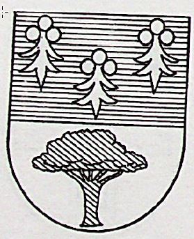 Izusquiza Coat of Arms / Family Crest 0