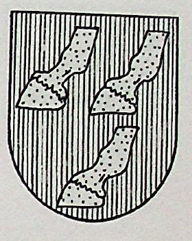 Juny Coat of Arms / Family Crest 0