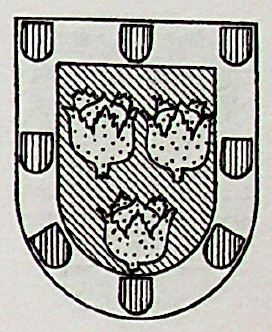 Matacas Coat of Arms / Family Crest 0