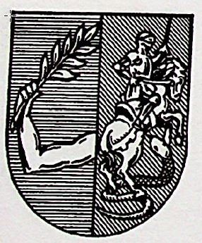 Mayans Coat of Arms / Family Crest 0