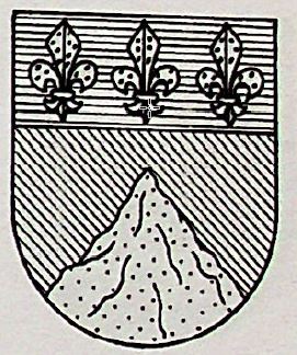 Montesinos Coat of Arms / Family Crest 0