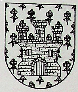 Soarin Coat of Arms / Family Crest 0