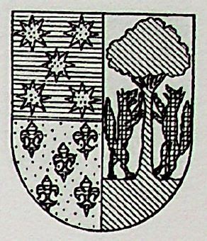 Vitoria Coat of Arms / Family Crest 0