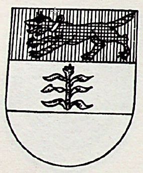 Bracco Coat of Arms / Family Crest 1