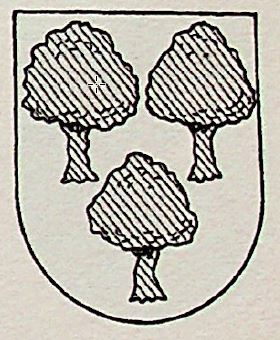 Encinares Coat of Arms / Family Crest 0