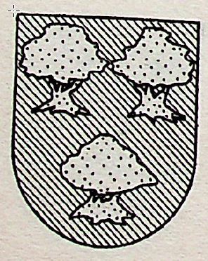 Encinas Coat of Arms / Family Crest 0