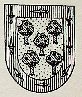 Enjuto Coat of Arms / Family Crest 0