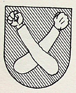 Flaco Coat of Arms / Family Crest 0