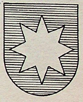 Irujo Coat of Arms / Family Crest 0