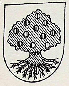 Madrono Coat of Arms / Family Crest 1