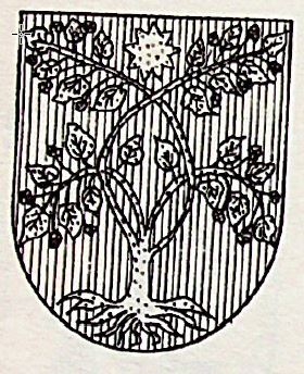 Piccinini Coat of Arms / Family Crest 1