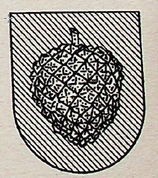 Pina Coat of Arms / Family Crest 0