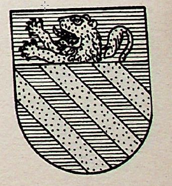 Servien Coat of Arms / Family Crest 0