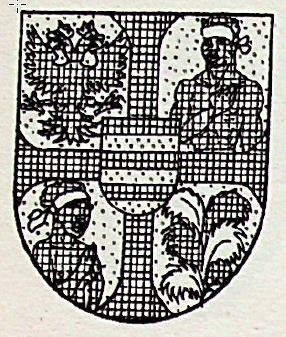 Strassoldo Coat of Arms / Family Crest 7