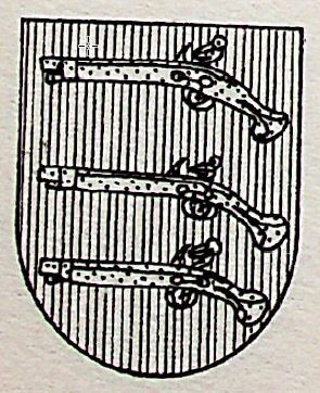 Tuerto Coat of Arms / Family Crest 0