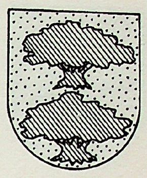 Veguero Coat of Arms / Family Crest 0