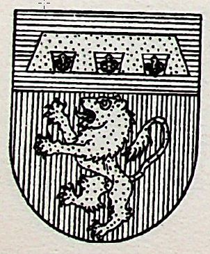 Veronesi Coat of Arms / Family Crest 0