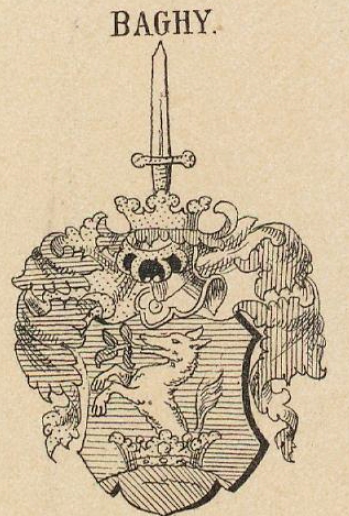 Baghy Coat of Arms / Family Crest 0