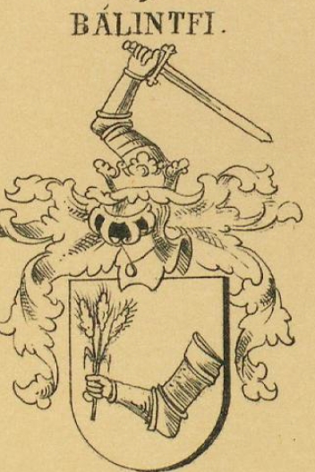 Balintfi Coat of Arms / Family Crest 0