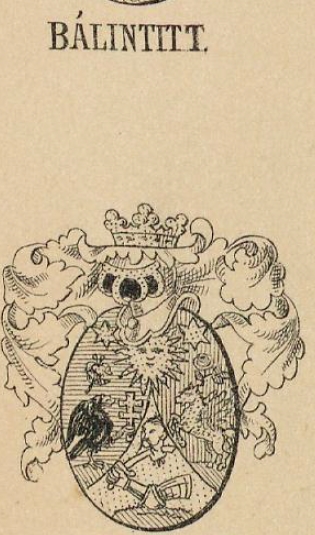 Balintitt Coat of Arms / Family Crest 0