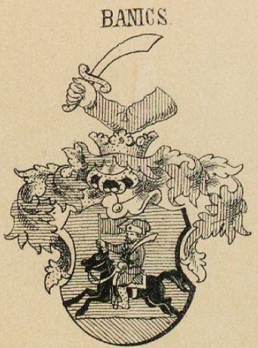 Banics Coat of Arms / Family Crest 0
