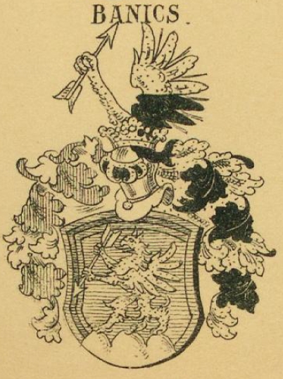 Banics Coat of Arms / Family Crest 1