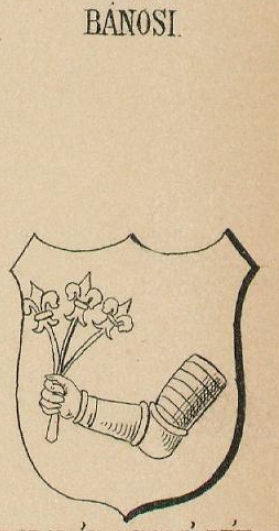 Banosi Coat of Arms / Family Crest 0