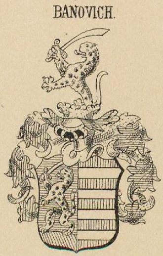 Banovich Coat of Arms / Family Crest 0
