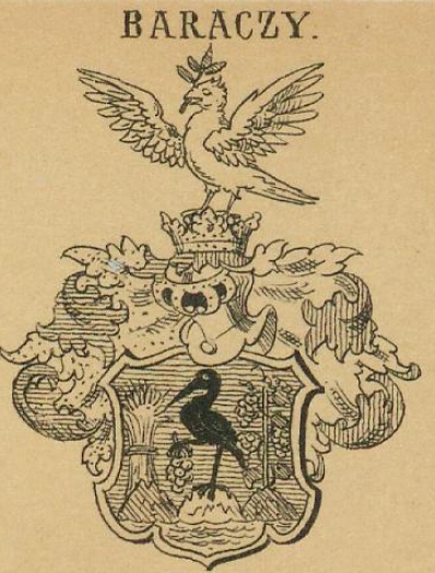 Baraczy Coat of Arms / Family Crest 0