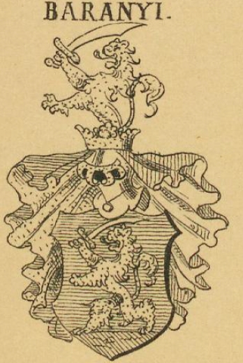 Baranyi Coat of Arms / Family Crest 0
