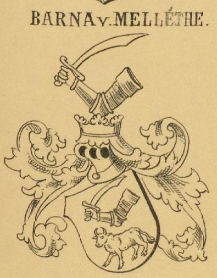 Barna Coat of Arms / Family Crest 1