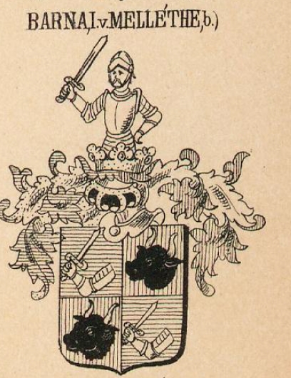 Barna Coat of Arms / Family Crest 3