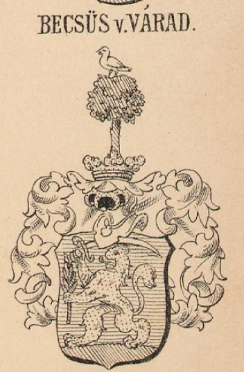 Becsus Coat of Arms / Family Crest 0