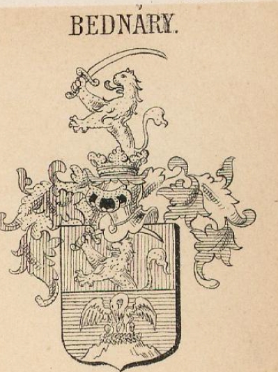 Bednary Coat of Arms / Family Crest 0