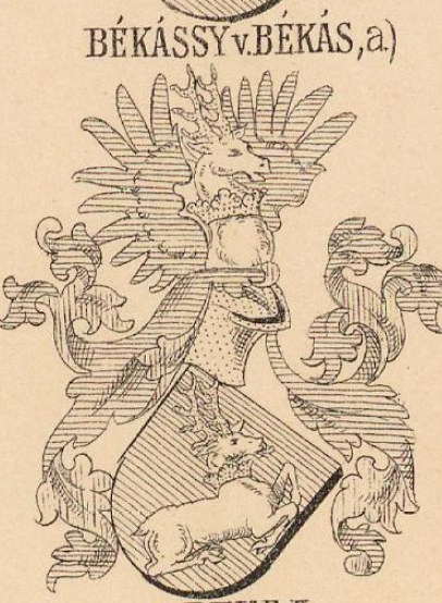 Bekassy Coat of Arms / Family Crest 0