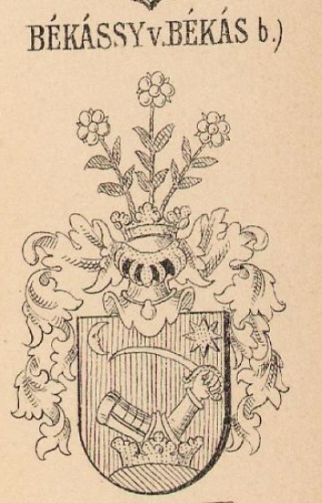 Bekassy Coat of Arms / Family Crest 1