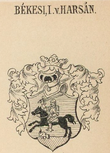 Bekesi Coat of Arms / Family Crest 0