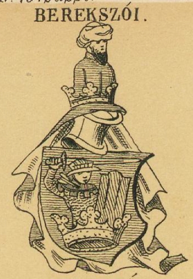 Berekszoi Coat of Arms / Family Crest 0