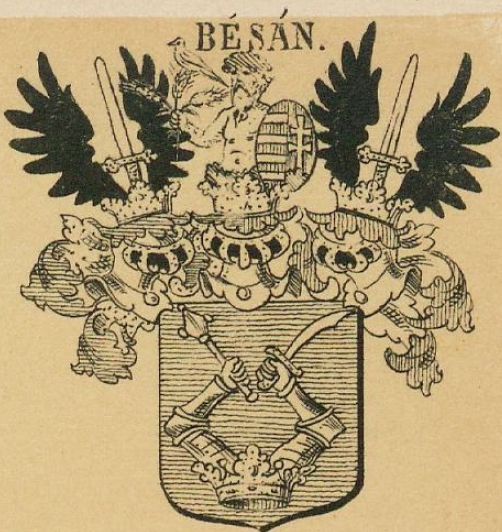 Besan Coat of Arms / Family Crest 0