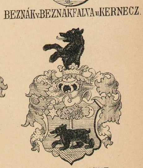 Beznak Coat of Arms / Family Crest 0