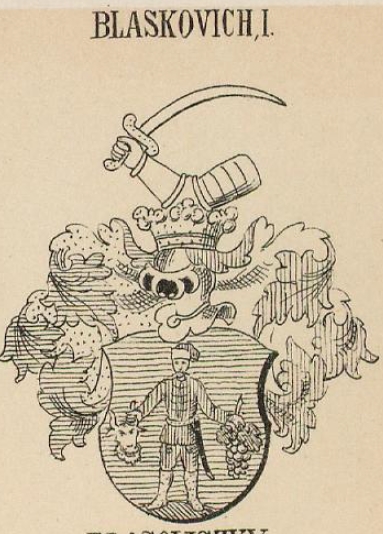 Blaskovich Coat of Arms / Family Crest 0