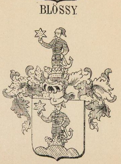 Blossy Coat of Arms / Family Crest 0