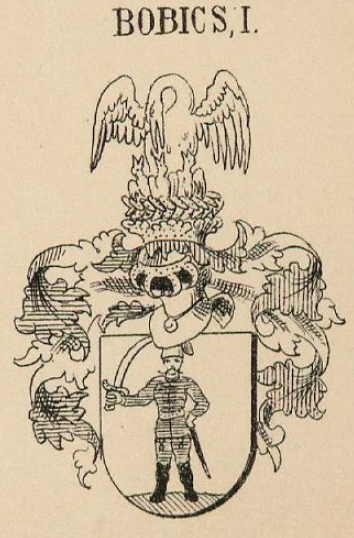 Bobics Coat of Arms / Family Crest 0