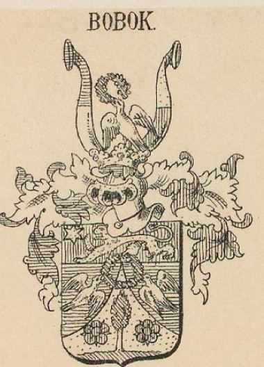 Bobok Coat of Arms / Family Crest 0