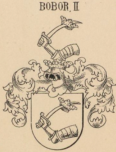 Bobor Coat of Arms / Family Crest 0