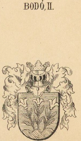 Bodo Coat of Arms / Family Crest 2